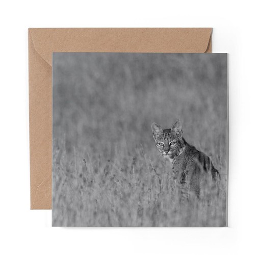 Blank greeting card - 1,