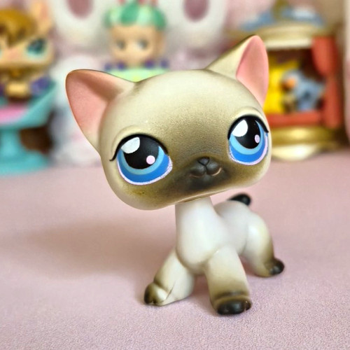 Littlest pet shops siamese - #5,