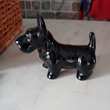 SCOTTIE-  SCOTTISH  TERRIER