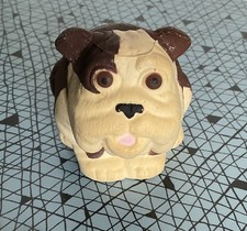 Churchill Dog  Insurance