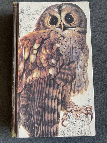 Book british birds - book,