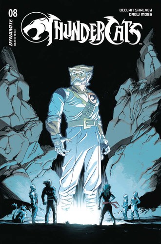 Thundercats cover c shalvey - thundercats, #8
