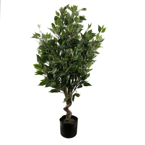 Artificial ficus tree - artificial,