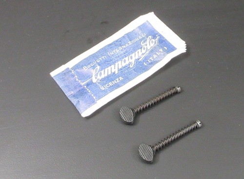Campagnolo rear dropout - campagnolo,