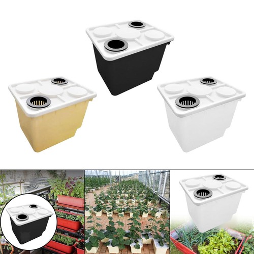 Hydroponic plant container for - hydroponic,