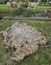 Peak District Raw Sheep Fleece.  Garden. Mulch. Biodegradable. Frost Protection