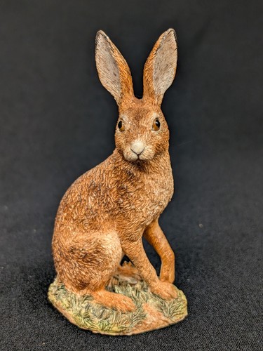Border fine arts hare field - hare, 'field