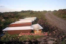 PHOTO  FAMILY BATHTIME THESE