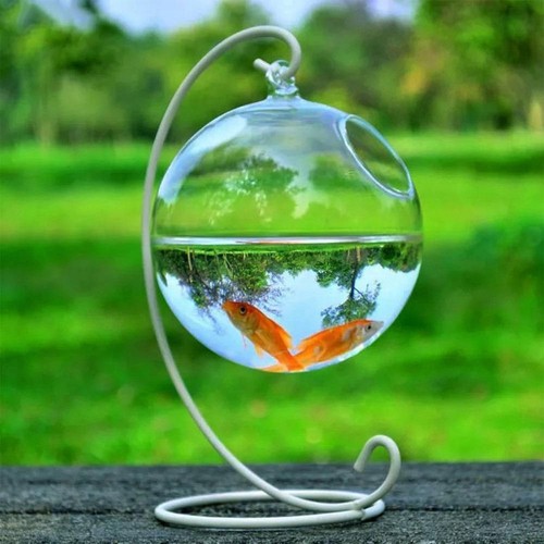 Aquarium decoration fish bowl - decoration,