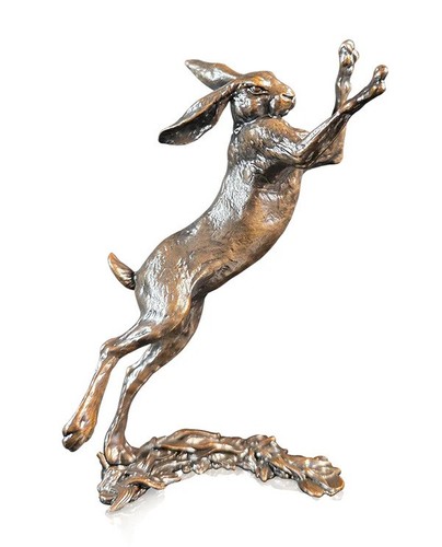 Bronze medium hare - medium, boxing
