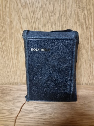 1931 holy bible - bible, illustrated