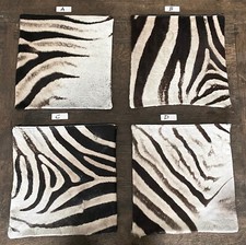16"x16" Genuine Zebra Skin