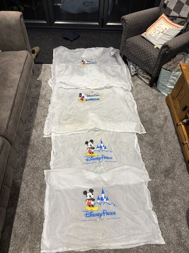 Disney parks mickey mouse - parks,