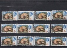 Fiji - Chambered nautilus