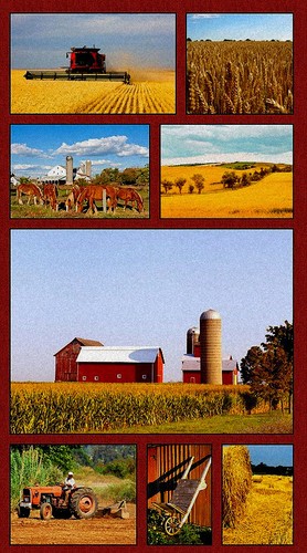 American farm fabric - fabric, 24"x