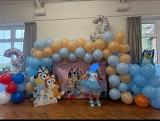 Bluey Party Supplies, Cardboard Cutout, Backdrop And Dress Etc