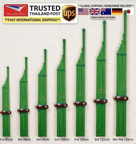 Authentic thai khaen green - thai,