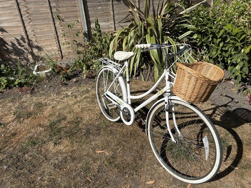 Raleigh ladies classic bicycle - ladies,