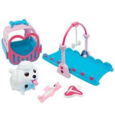 Chubby Puppies Poodle Puppy