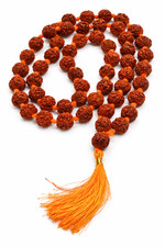 16mm 5 Mukhi Natural Rudraksha