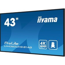 iiyama 43" 4K UHD Digital