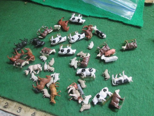 Assorted animals - assorted, (oo