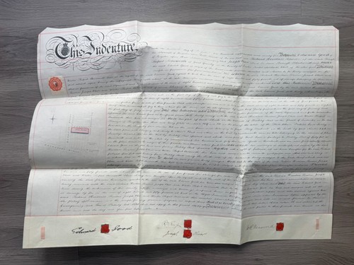 Hull yorkshire vellum - yorkshire,