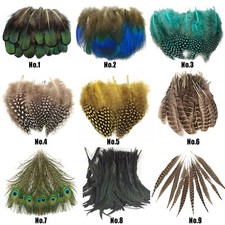 Pheasant Rooster Feathers