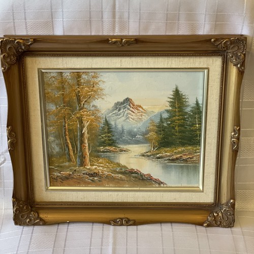 Framed oil canvas depicting - framed, on