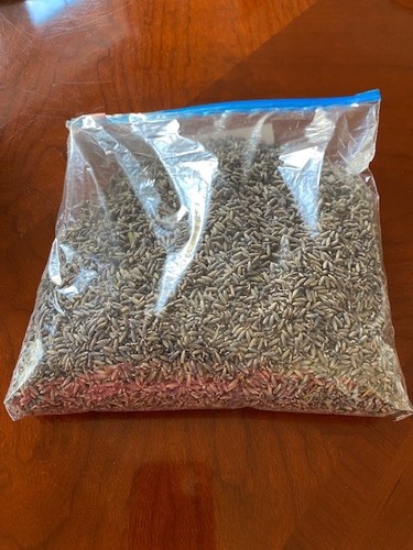 100 bag dried - bag,