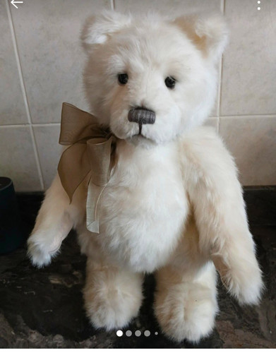 Charlie bears ursa - bears, minor