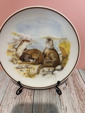 READERS DIGEST WILDLIFE OF