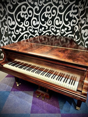 1925 blüthner style grand - 1925,
