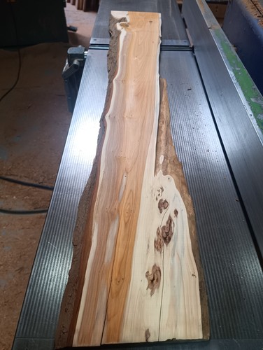 1000 130 170 15mm planed - 1000*130-170*15mm, yew