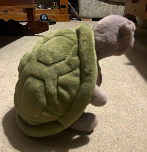 Jellycat timmy turtle bnwot - jellycat,