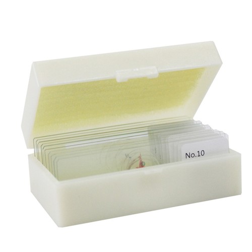 Pcs set microscope slide - 10,