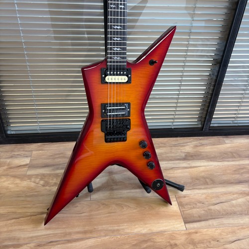 Dimebag washburn electric - dimebag,