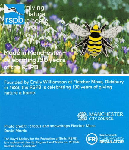 Rspb pin badge special 130 - rspb,