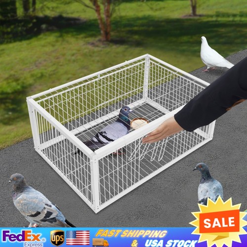 Pigeon trap cage - pigeon,