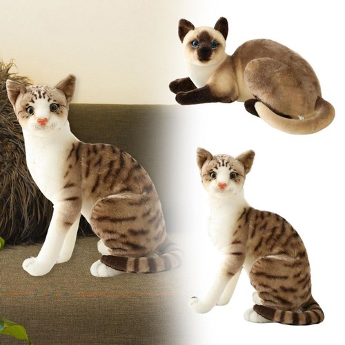 Lifelike cute realistic cat - realistic,