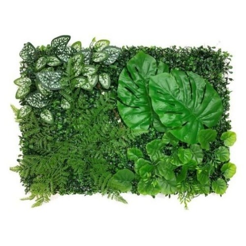 Vivarium plant banana - plant,