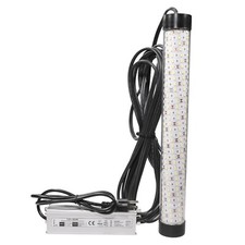 White Night Fishing Underwater