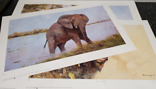 David Kelly - Set of 3 Limited