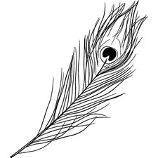 'Peacock Feather' Unmounted