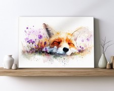 Sleeping Fox Canvas Print Wall