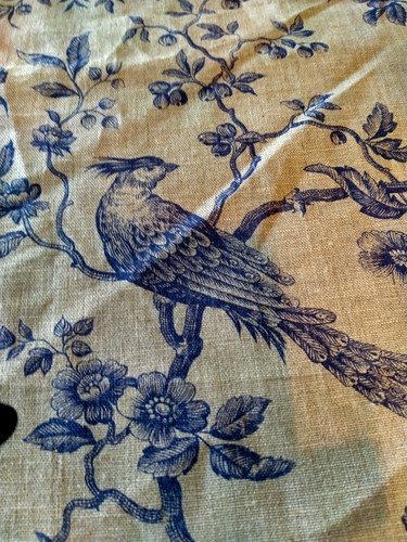 Regal birds french - birds,