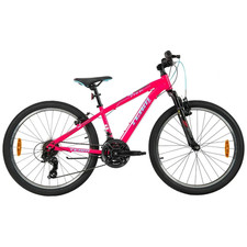 24 Inch Team Mountain Bike