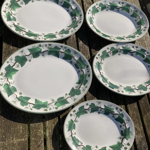 Wedgwood napoleon ivy oval - 5x,
