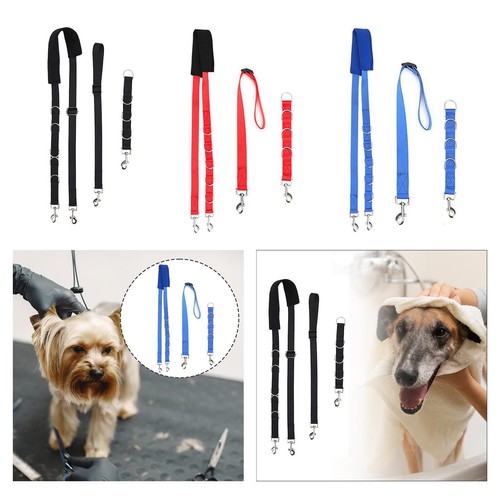 Dog grooming belly strap - dog,