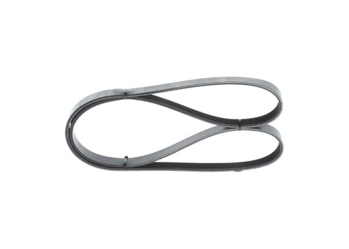 Bosch ribbed belt for - v-ribbed,